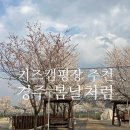 대구근교 키즈캠핑장 추천 경주 봄날처럼 캠핑장