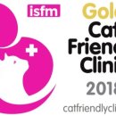 베스트고양이병원 이미지