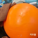 도봉초병설 네이버블로그