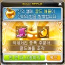 애플헤어스토리 이미지