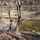 강촌폭포펜션 이미지