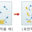새움한의원