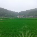 솟티 이미지