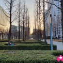 한우물근린공원 이미지