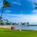 호코농장 이미지