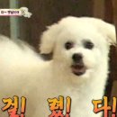 집밥집술 - 중구 | 집밥집술