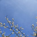 비밀베이커리 아산점 네이버블로그