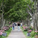 신안(여) 이미지