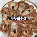 카카오 이미지