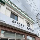 서귀포밀면 | 서귀포밀면맛집 희신이네 제주 여행 중 시원하게 먹기 좋았던 닭고기냉밀면 후기