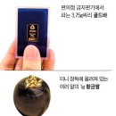 금한돈 - 제주시 | 금한돈