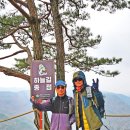 섬진강매화로 이미지