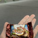 월담 | 클라이밍 2,3회차 후기 🧗💦 (오터클라이밍, 월담클라이밍)