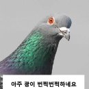 오션월드 카바나? 그 오두막집같은거 이미지