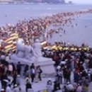 진도 이미지