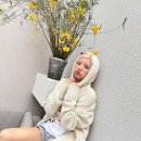 후디에 이미지