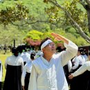 진도개 사랑 이미지