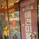 부천애견미용 멍미살롱 | 부천애견호텔 멍미 아가들 안심하고 맡길 수 있는 곳 ^^