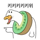 선갤러리 이미지
