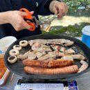 돌담집펜션 | 청도 계곡 옆에서 캠프닉 평상대여 돌담집펜션 내돈내산 솔직후기! 피크닉 세트 A