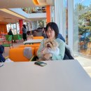 연극 아버지와 살면 | 25년 새해가 밝았습니다 지금? 예..지금..