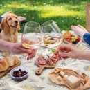 더블트리바이힐튼서울판교 이미지