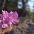 광양공용버스터미널 이미지