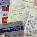 타이어프로 와동점 | 바다와 고양이