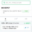 김채안퍼피살롱 이미지