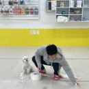 인생개획 이미지