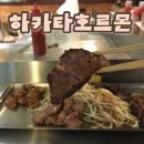 독막로 5 합정역 6번 출구 | [합정역맛집추천] 하카타호르몬 철판불쇼 후쿠오카 텐진호르몬 예약방법 및 메뉴 후기