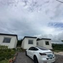 퐁낭에염 이미지