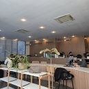 제이스맨션 | [천안 불당 카페] 천안 유일 파블로바를 경험할 수 있는 '제이스맨션'ㅣ💰내돈내산 솔직 후기