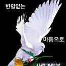 간추린 뉴스 이미지