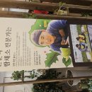 윤훈식농가쌈밥군위점 | 군위 맛집 추천 | 10~20가지 쌈채소 나오는 윤훈식 농가쌈밥 군위점, 건강한 한 끼의 정석