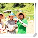 농군마을 이미지