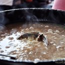 코리안덕 이미지