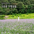 꽃뜰여행 이미지