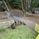 기흥2농장 이미지