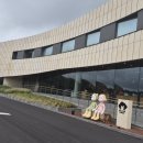제주 돌코리숲 고양이와 자연이 어우러진 특별한 숲 이미지
