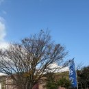 에코펜션&글램핑 | 강화 에코 스파 펜션&amp;글램핑 바베큐 1박2일 후기