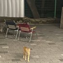 대구 근교 글램핑 로망 자연 속 힐링하고 온 후기!