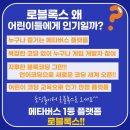 로블록스 루아 코딩 이미지