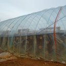 나들길 흙집 이미지