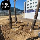 누리급수 이미지