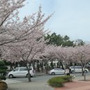 부경대학교(대연캠퍼스) 이미지