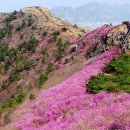 여수 (영취산 439m)(진례산 510m)2023년 03월 25일 네째토요일 이미지