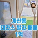 비전21공인중개사사무소 이미지