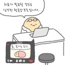 반스완 이미지