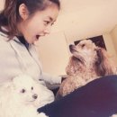 강소라 카카오 검색결과